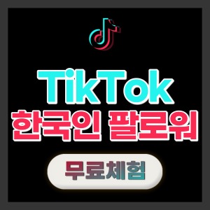 [무료체험] 틱톡 한국인 팔로워 늘리기